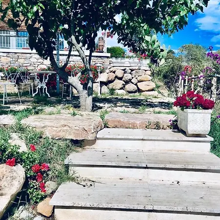 Πανσιόν L'incanto Di Nausicaa