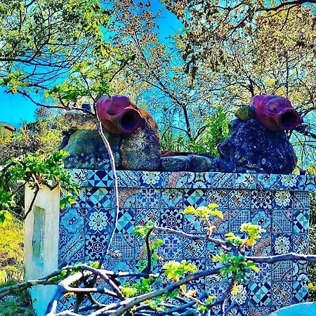 L'incanto Di Nausicaa Maison d'hôtes Ascea