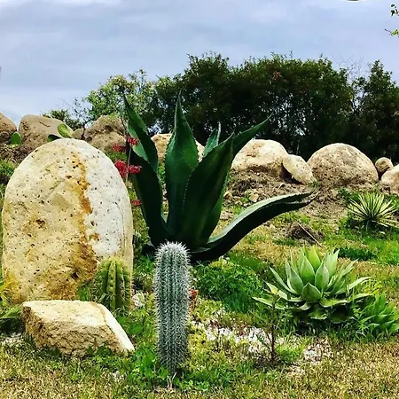 Maison d'hôtes L'incanto Di Nausicaa Ascea